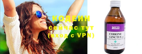 эйфоретик Вяземский