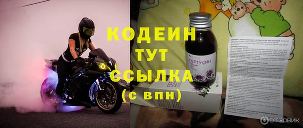 эйфоретик Вяземский
