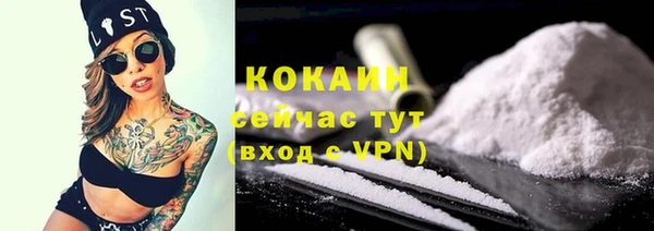 эйфоретик Вяземский