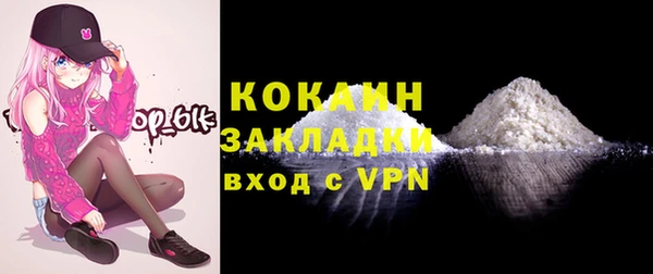 эйфоретик Вяземский