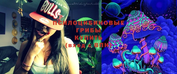 эйфоретик Вяземский