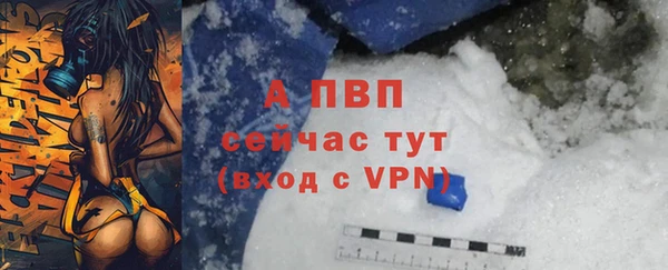 эйфоретик Вяземский